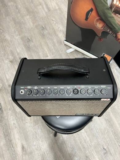 Store Special Product - Traynor - AMMINI