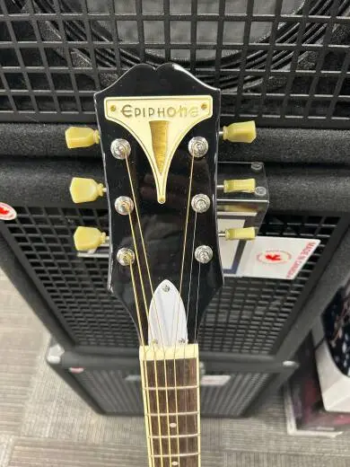 Epiphone - EAPPVSCH 2