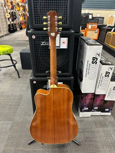 Epiphone - EAPPVSCH 2