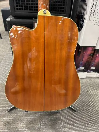 Epiphone - EAPPVSCH 2