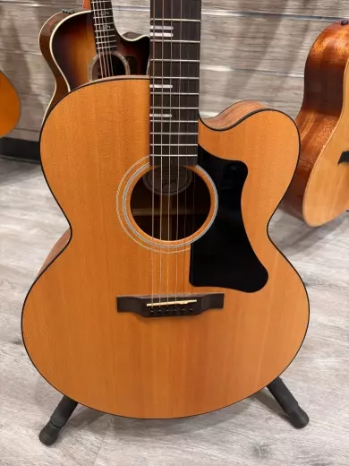 Gibson - ACG20ANNH
