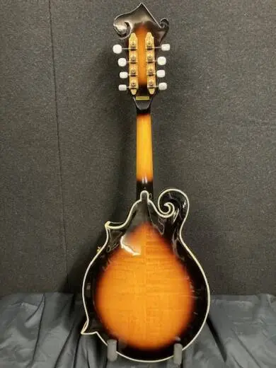 Gold Tone GM-70+ Solid Wood F-Style Mandolin with Case 2