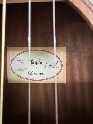 Taylor Guitars - GS MINI-E KOA 3