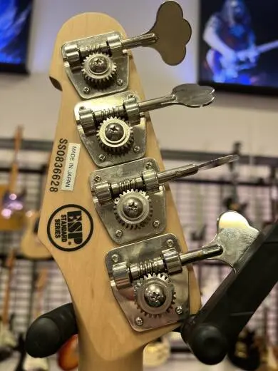 ESP SURVEYOR-II STANDARD 2