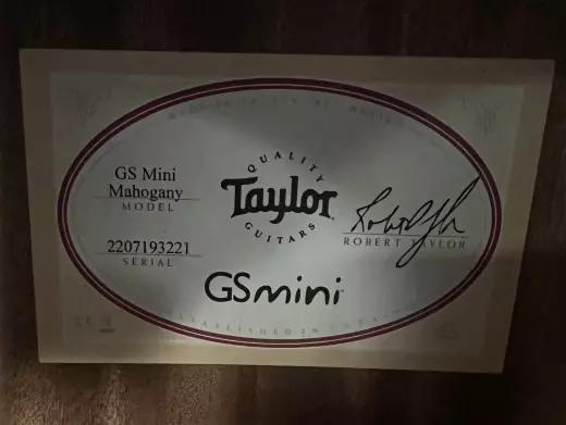 Taylor Guitars - GS MINI M 2
