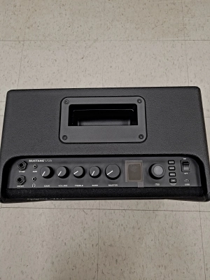 Fender Mustang LT25 2