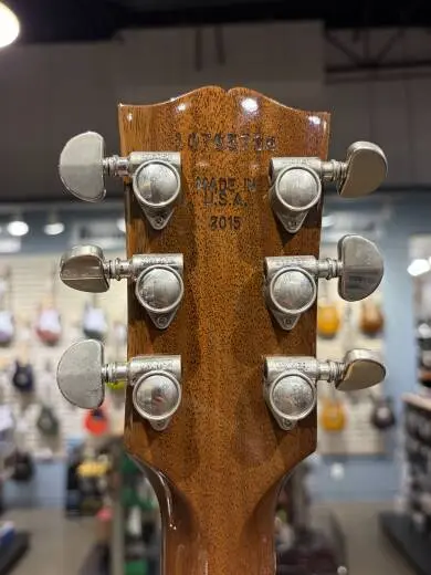Gibson - ESDP5SBNH 2