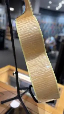 Gibson - AC2019ANGH 2