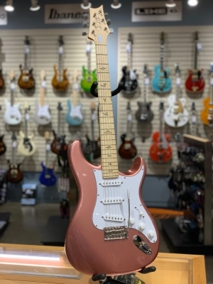 PRS Guitars - Silver Sky Midnight Rose