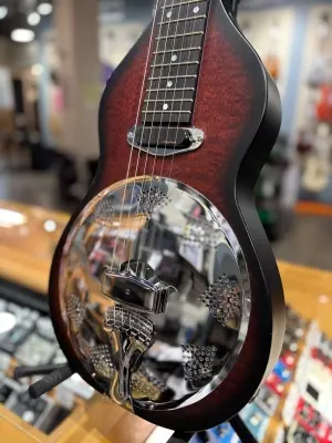 Beard Resophonic Lap Steel 2