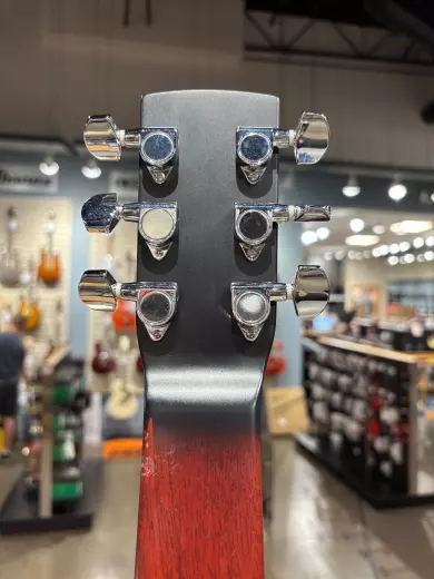 Beard Resophonic Lap Steel 2