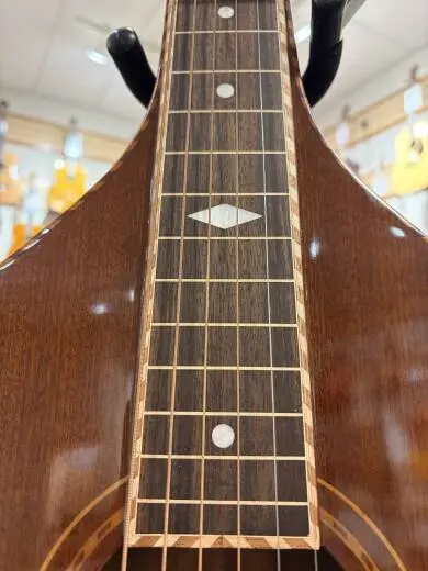 Gold Tone - GT-SM+ 2