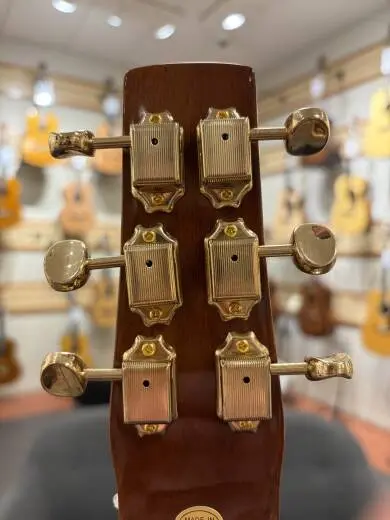 Gold Tone - GT-SM+ 2