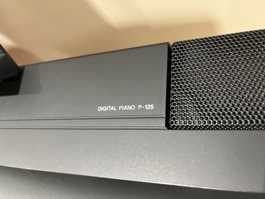 Store Special Product - Yamaha - P125 B