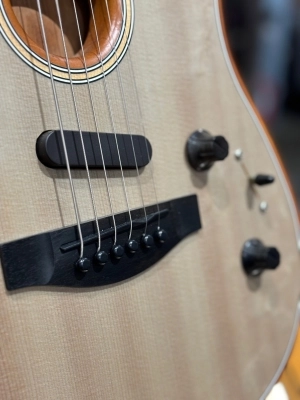 Fender American Acoustasonic Stratocaster 3