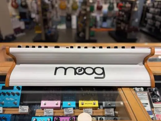 Store Special Product - Moog - SUBSEQUENT 37