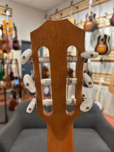 Taylor Guitars - 812CE-N STD 2