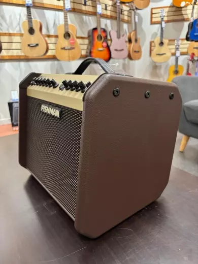 Fishman - PRO-LBX-500 2