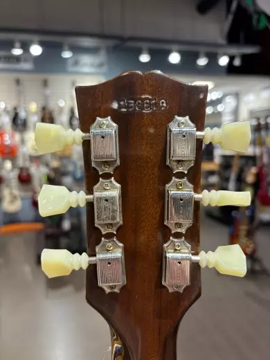 Gibson - ESDT61VOVBNH 6