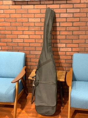 Palatino - Upright Bass VE-500 2