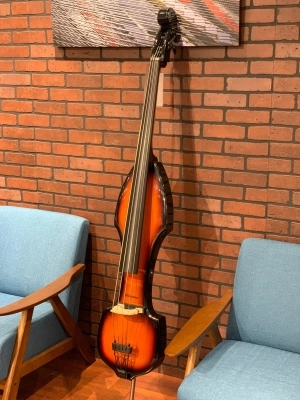 Palatino - Upright Bass VE-500