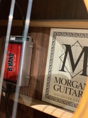 MORGAN CCR ROSEWOOD ACOUSTIC 3