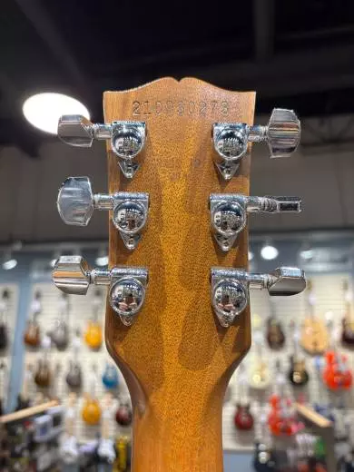 Gibson - LPSKH00GGNH 2