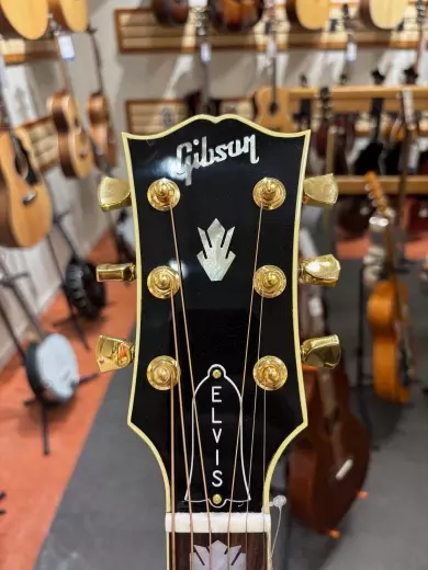 Gibson - ACEPJ2EBGH 6