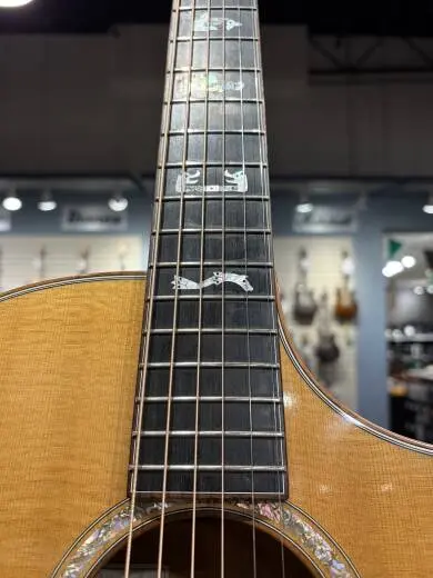 Breedlove C5 Northwest Acoustic Guitar 2