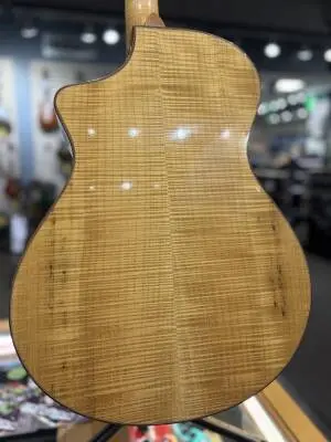 Breedlove C5 Northwest Acoustic Guitar 2