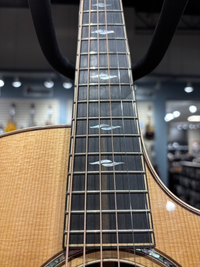 Store Special Product - Taylor Guitars - 814CE RA