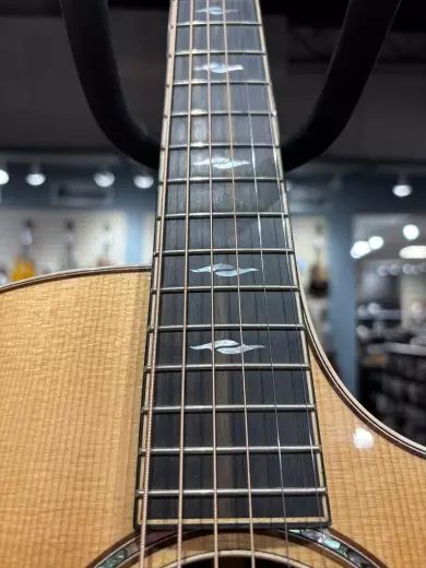 Taylor Guitars - 814CE RA 4