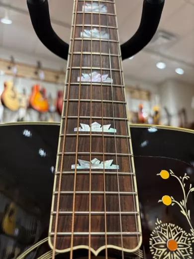 Gibson - ACO20VSGH 7