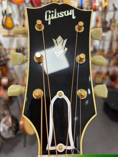 Gibson - ACO20VSGH 2