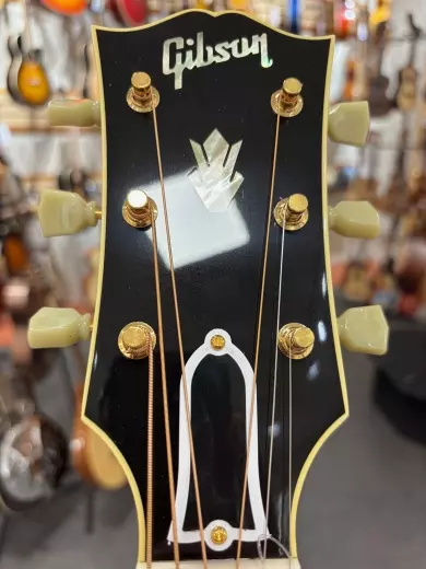Gibson - ACO20VSGH 5
