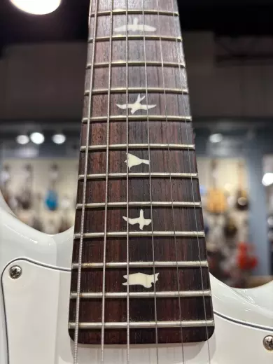 PRS Guitars - Silver Sky Frost, rosewood 2