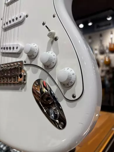 PRS Guitars - Silver Sky Frost, rosewood 2