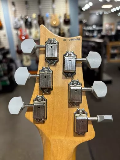 PRS Guitars - Silver Sky Frost, rosewood 2