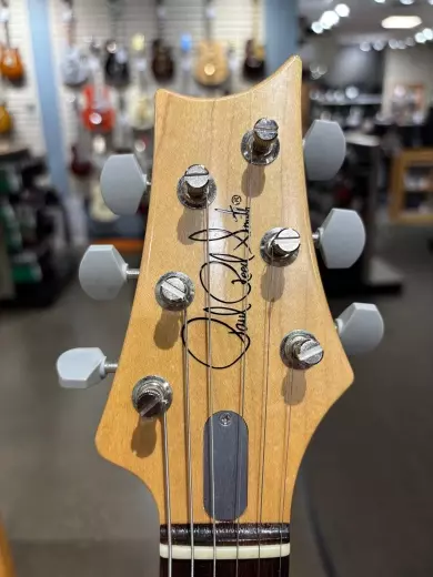 PRS Guitars - Silver Sky Frost, rosewood 2