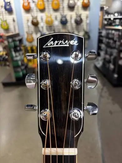 Larrivee - D-09E 2
