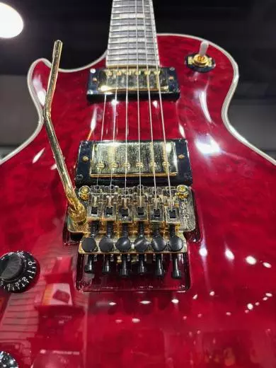 Epiphone - EILPXALRUBGFLH 2
