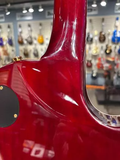 Epiphone - EILPXALRUBGFLH 2