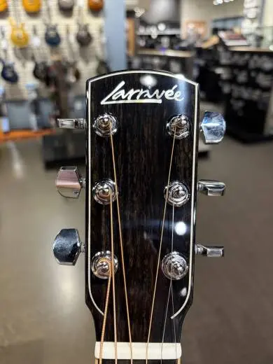 Larrivee - OM-10 2