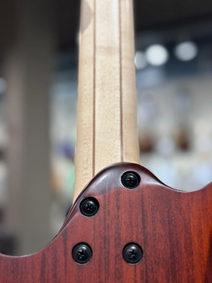 Ibanez - RG721FM-NTF 7