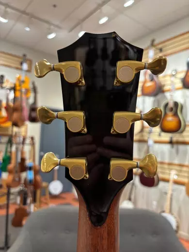 Taylor Guitars - 914CE VCL 2
