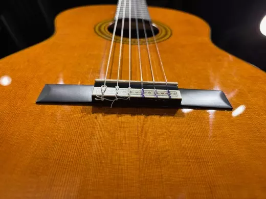 Yamaha - GC22C 3