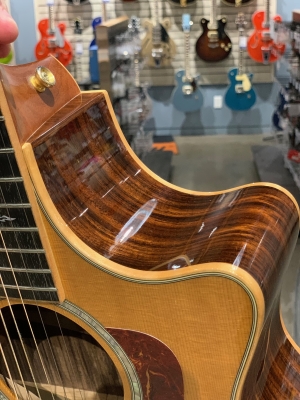 Taylor Guitars - 814CE 4