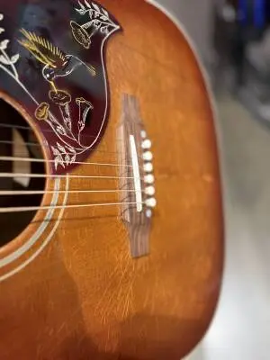 Gibson - ACHB60LAHCGH 2