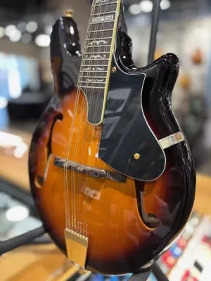 Gold Tone Rigel Mandolin 2