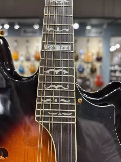 Gold Tone Rigel Mandolin 2